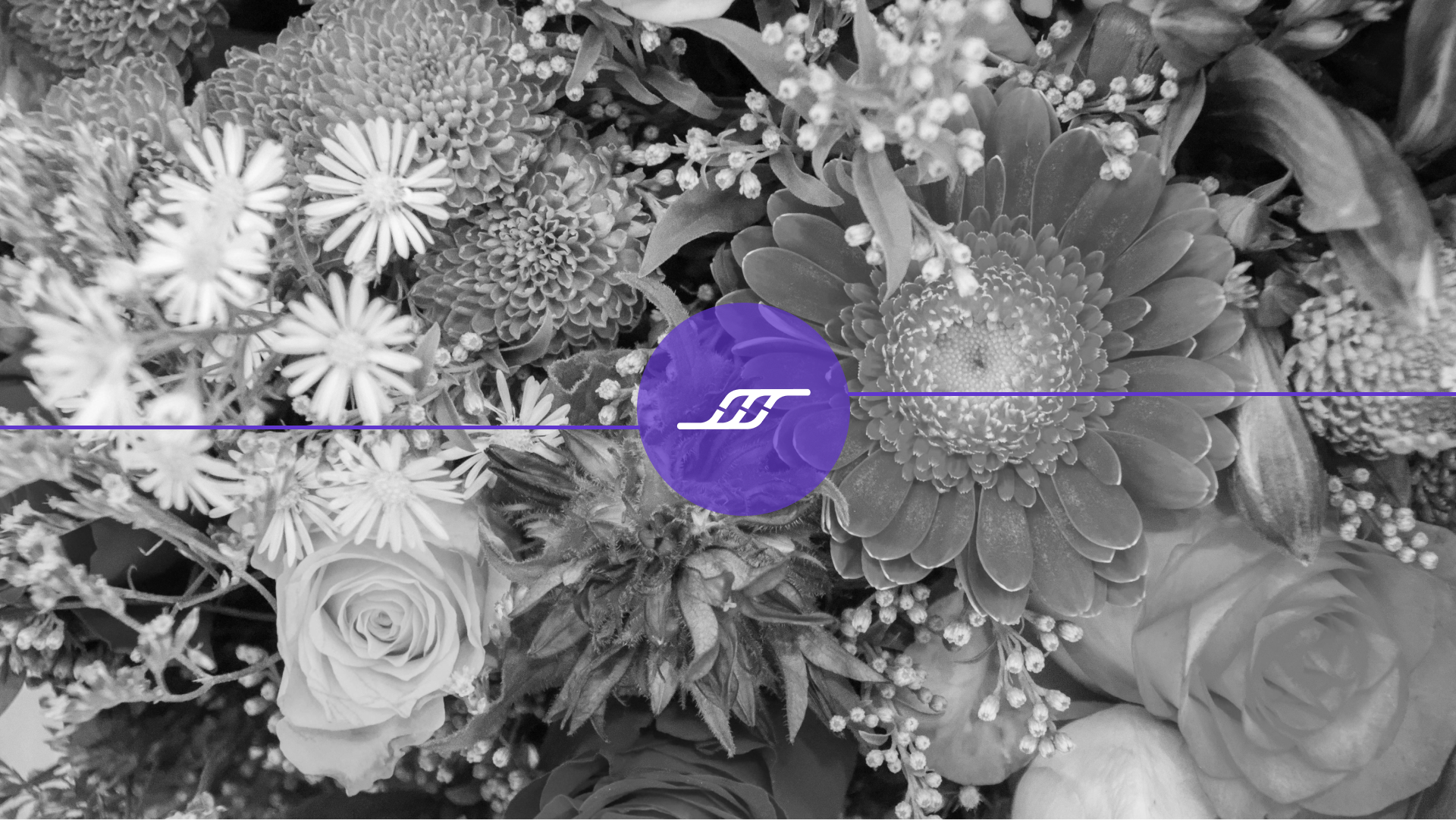 Diversity in flowers