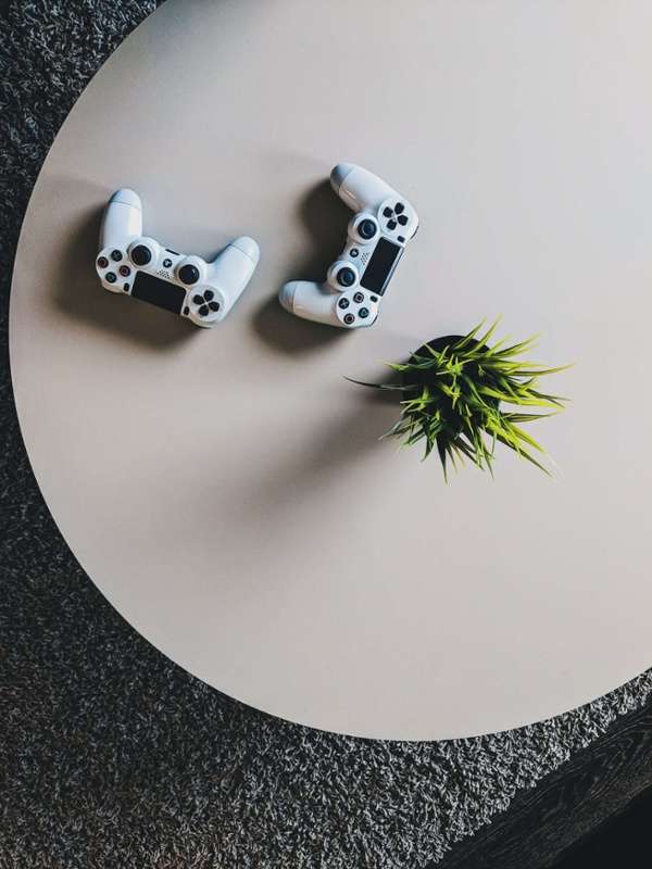 ps4-controller-table-plant-1
