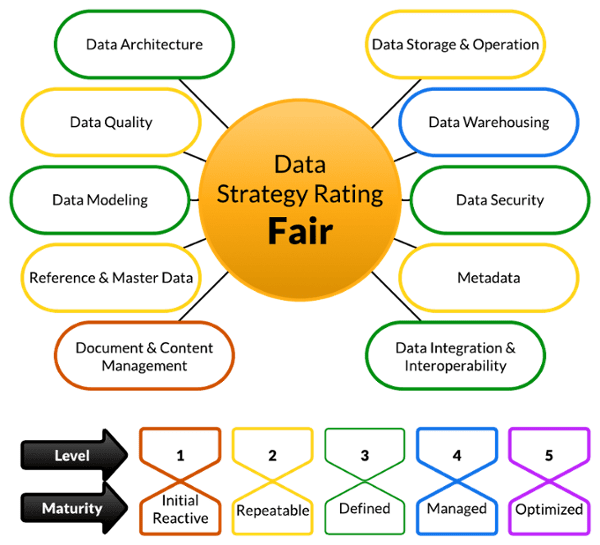 One-pagers Diagrams - Data Maturity Assessment - Black Txt-1