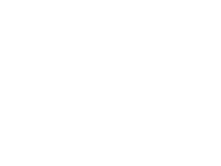 Qlik_logo_white_infostrux